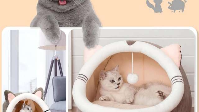 Cama Cabana Pet Formato de Gato com Bolinha: Vale a Pena? - Todos os artigos